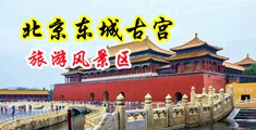 操逼鸡巴内射视频中国北京-东城古宫旅游风景区
